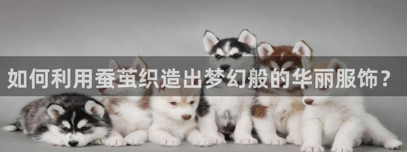 摩登6韩这7O667