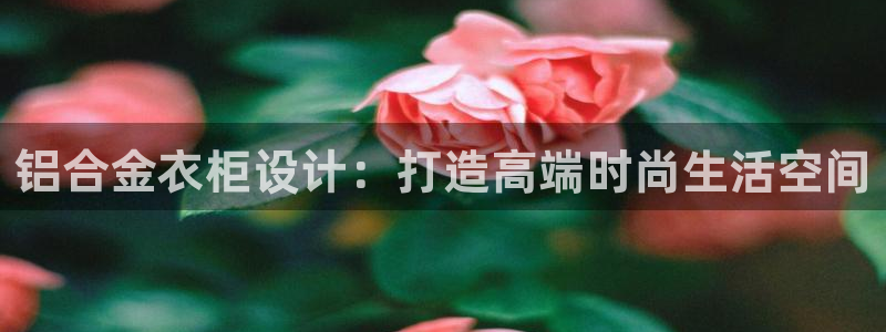 摩登口碑7