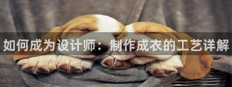 摩登7怎么联系客服