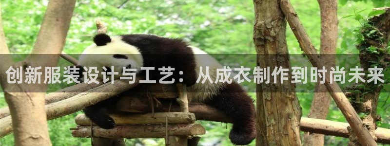 摩登7岁