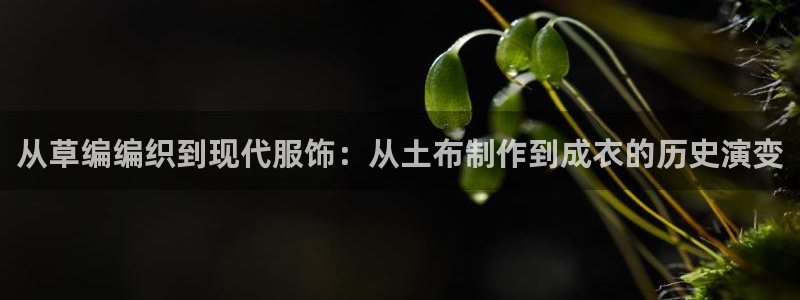 摩登7平台咱7O777