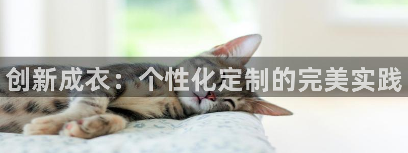 摩登7直属招商
