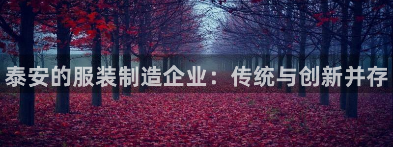 摩登招商7快22650