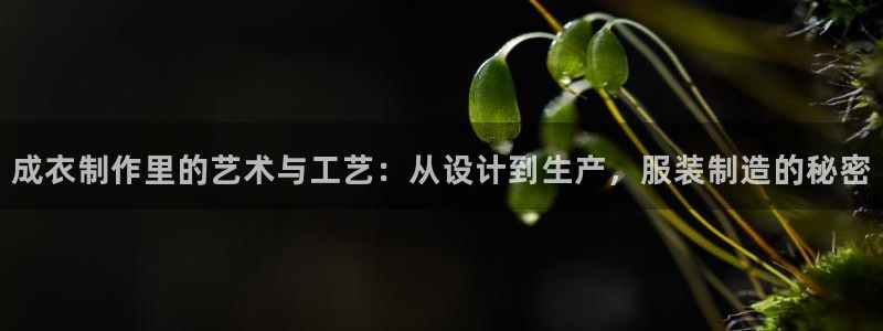 摩登7关
