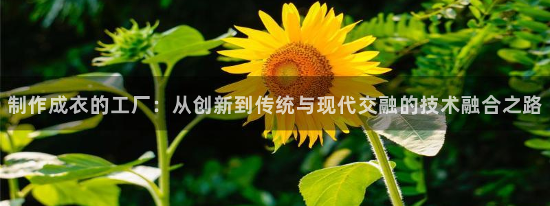 摩登7左3299O7