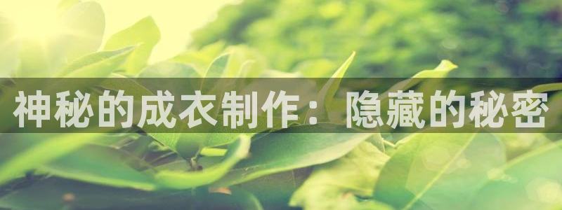 摩登7注册路333OO